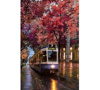 Zurich, Suisse - Puzzle 200 Pièces