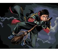Zuty - Painting by Numbers - HARRY POTTER ON METLE, 40x50 cm, sans cadre et sans toile