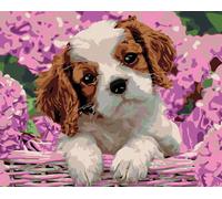 Zuty - Peinture au diamant - CHIOT ET HORTENSION, 40x50 cm, hors toile sur châssis