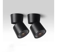 ZVALIEVYE Spot Directionnel À Led Pour Plafond D'Intérieur, 2 Spots D'Accentuation Montés En Surface Pour Intérieur, Galerie D'Images, Couloir, Salon/Noir3000K