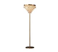 ZVALIEVYE Standing Tall Lamps Crystal Led Floor Lampsd Standing Lamp For Living Room Decoration Study Floor Light Reading Light
