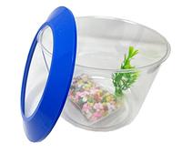 Zvire Goldfish Bol de démarrage doré avec Plante ornementale pour Aquarium - Kit de Gravier - Bleu ou Orange (Bleu)