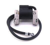ZVPQU Bobine d'allumage Bobine d'allumage électronique adaptée for Briggs & Stratton 496914 591420 398593, Module magnéto, Armature magnétique