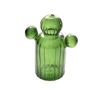 ZwaitL Vase en verre pour cactus - Pots de fleurs hydroponiques - Décoration de salon - Flacon à stylo - Arrangement floral - Décoration d'intérieur