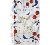 Zwei Seiten eines Augenblicks »Die preisgekrönte Valentine kehrt mit einem zu Tränen rührenden und wunderschön geschriebenen Buch in die Welt der Jugendliteratur zurück.« The Guardian - Jenny Valentin