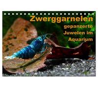 Zwerggarnelen - gepanzerte Juwelen im Aquarium (Tischkalender 2026 DIN A5 quer), CALVENDO Monatskalender: Ein Jahr lang jeden Monat eine wunderschöne Garnele