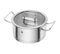 ZWILLING Pro - Faitout avec Couvercle en Verre (24 cm) - Acier Inoxydable
