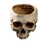 ZWWAAZHF Handicraftsman Pot de fleurs en résine Motif crâne Blanc | Parfait pour cultiver des herbes sèches ou contenir des bibelots et des outils d'écriture, pour organiser de petits articles