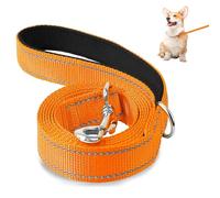 ZWWOGE Laisse pour chien de petite taille légère, laisse réfléchissante double face en nylon avec poignée rembourrée, 1,8 m x 2 cm