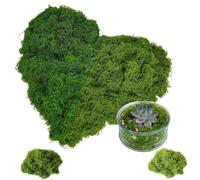 ZWWOGE Mousse 100g Artificielle Decoration Mousse DIslande pour Bricolage Faux Gazon Extérieur Doux et Réaliste Réutilisable，pour Compositions Florales, Travaux Manuels,Vert foncé+Vert Clair