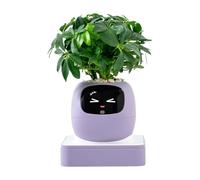 zwxqe AI Expression Planter, Smart Decorative Pot with Multiple Interactive Faces, for Indoor Apartment Office Living Room Bedroom Balcony Beginners Birthday Gift