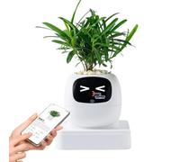 zwxqe AI Expression Planter, Smart Decorative Pot with Multiple Interactive Faces, for Indoor Apartment Office Living Room Bedroom Balcony Beginners Birthday Gift