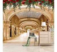 ZWYHYP Papier Peint Photo couloir Grande Fresque Murale 3D Peinture Murale, Étude De Fond De Salon Décoration D'Intérieur 300cm×210cm(LxH)