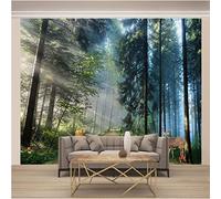 ZWYHYP Papier Peint Photo forêt Grande Fresque Murale 3D Peinture Murale, Étude De Fond De Salon Décoration D'Intérieur 300cm×210cm(LxH)