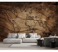 ZXCHEE Papier Peint Panoramique Carte Du Monde Vintage En Bois Papier Peint 3D Tapisserie Mural Salon Chambre Décoration Murale -ZX22804-400x255cm