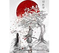 ZXDA Peinture par numéros samouraï Japonais Peint à la Main Moderne Art Mural Peinture par numéro Femmes Kits Cadeaux Uniques Faits à la Main A3 40x60 cm