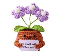 Zxfdsfdbnm Ensemble de pots de fleurs au crochet adaptés aux débutants avec guide étape par étape (français non garanti)