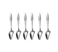 Zxfdsfdbnm Lot de 6 mangeoires pour oiseaux et perroquets - Cuillère en acier inoxydable - Médecine laitière pour éviter le risque d'étouffement - Pour tous les bébés oiseaux