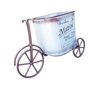 Zxfdsfdbnm Seau de fleurs en fer en forme de vélo portable pour fleuriste, jardin, mariage, conteneur de fleurs portable