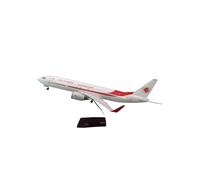 ZXGGASG Plantes d'aéronefs métalliques moulés 47cm 1/85 Échelle pour B737-800 Algerie Light and Wheel Resin Assemblé Home Decor Model Airplane for Collection and Display (Pas de lumière)