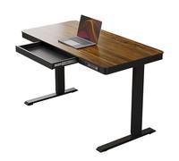 zxhrybh Bureau Gamer Électrique Réglable avec Tiroir, Hauteur Ajustable 70,5-113 cm, Préréglages Mémoire, Ports USB, Table Gaming Assis-Debout pour Bureau à Domicile(Brown,39.3in/100cm)