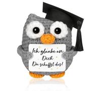 ZXJLWR 8,5 cm de haut - Cadeau de motivation, examen porte-bonheur, cadeau de bonne chance, doudou hibou, je suis fier de vous, cadeau d'école