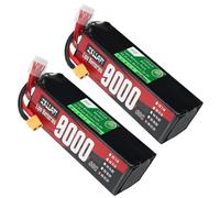 ZXLLAFT Batterie pour Drone 6S 22,2V Batterie au Lithium Piles Lipo Piles de Remplacement pour modèle d'avion, Buggy électrique, Alimentation Secours avec Panneau BMS,22.2v9ah 100c 2pack