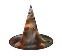 ZXMDZTSS Chapeau d'Halloween amusant avec imprimé écureuil pour adultes | Tenue de festival | Accessoire de costume de sorcière | Tissu Oxford 3 pièces