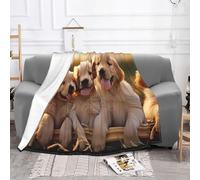 ZXMDZTSS Golden Retriever Couverture douce en flanelle légère et chaude pour lit, canapé, camping, voyage, 152,4 x 127 cm