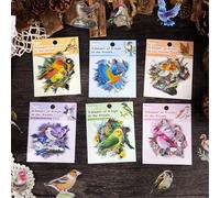 ZXMNBH Lot de 30 autocollants Kingfisher PET pour scrapbooking, étanche, transparent, fournitures de journal, journal, agenda, collage, papier pour ordinateur portable