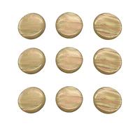 Zxpjkyu 9 Pièces Boutons de Pistons pour Trompette Incrustations en Plastique Accessoires pour Instruments à Vent Raccords Conviennent Musiciens Orchestre