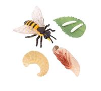 Zxpjkyu Cycle de Vie de Modèle de Croissance d'Abeille Jouet Éducatif Animal Figurine Biologique Reproduction Naturelle Adapté pour Apprentissage