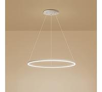 ZXSRGDHX Anneau Unique LED Suspension Nordique Moderne Cercle Lustre Réglable Lampes Suspendues pour Salon Îlot De Cuisine Table À Manger(80cm, 50W,White, Trichromatic)