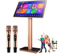 ZXSYYDS Machine De Karaoké Professionnelle, Lecteur De Karaoké avec Double Microphone sans Fil, 19,5/22 Pouces écran Tactile Capacitif, Lecteur De Cinéma Maison en Ligne,19.5inch-4TB