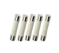 ZXTIIEUF 5 fusibles céramiques T0,3A 250 V 6 x 30 mm