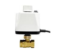 ZXTIIEUF Vanne à Boisseau sphérique motorisée normalement fermée 1/2", 3/4", 1", 2", 220 V, 12 V, 24 V, 2 Fils, en Laiton, avec Interrupteur Manuel(12VDC-DN50)