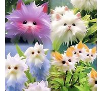 ZXZHYiYao 100pcs10 graines d'orchidées de Chat mélangées colorées, graines d'orchidée, Forme de Visage de Chaton
