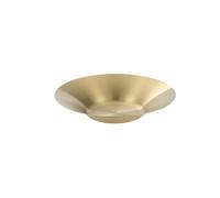 ZYAGH Assiette à dîner en acier inoxydable, assiettes rondes de service de fruits, plateaux, assiette de nouilles, saladier(Gold 25.5cm)