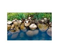 ZYAGH Fond D'Aquarium Affiche de Fond d'aquarium Effet 3D avec rochers rivière, Papier Peint Autocollant for Aquarium pour Aquarium(50x80cm)