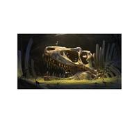 ZYAGH Fond D'Aquarium Fond d'écran d'habitat de Reptiles Os Dinosaures Papier Peint du désert Décorations Fond d'aquarium en PVC pour Aquarium(30x60cm)