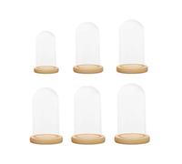ZYAYNG 1 Ensemble (6 pièces) Support de Couverture dôme en Verre Transparent avec Base Bois pour Présentation