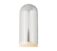 ZYAYNG Couvercle en Verre, dôme, Pot de Fleur, Cloche, vitrine Transparente for Support Base, Livre, Bougie, Centre Table, 6 pièces pour Présentation(8x18cm)