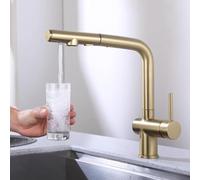 ZYCHSJXA Robinet de Cuisine Extensible à 3 Voies, Finition brossée, pivotant à 360°, mitigeur Multifonction en Laiton, Robinet Moderne, idéal pour Les Cuisines de la Maison, élégant et
