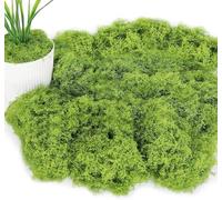 ZYEKIU Mousse Artificielle pour Décorer 100g de Mousse Artificielle, Fausse Mousses Végétale Decorative DIslande pour Bricolage Faux Gazon Extérieur Doux pour Diverses Idées de Déco (Vert Clair)