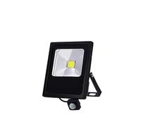 ZYGPH Projecteur LED d'extérieur avec détecteur de Mouvement, 50 W, 30 W, 10 W, éclairage Mural, réflecteur, étanche IP65 (détecteur de Mouvement 30 W, Blanc Froid)