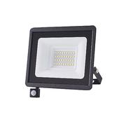 ZYGPH Projecteur LED d'extérieur avec détecteur de Mouvement PIR, 100 W/50 W, étanche, Haute luminosité, pour Jardin, Rue, Applique Murale - Projecteur LED (Blanc Froid, 30 W, avec boîtier)