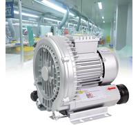 ZYGPH Souffleur régénératif, souffleur à Anneau Vortex, Pompe à air électrique 220 V/380 V pour aération des eaux usées, Aquarium, Bassin à Poissons, Ventilation d'usine et de sous-Sol (250 W/220 V)