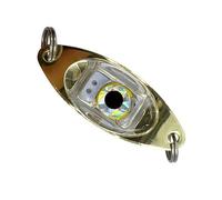ZYHARUKO Leurres de pêche LED Veilleuse Lumineuse Lampe Fish Eye Attirant Cuillères Appâts Sous Marine Forme Oeil Clignotant Leurres
