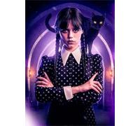 ZYHDK 1500 Pièces - Affiche - Difficult Puzzle - Gifts - Classic Horror Film Wednesdays Art Picture - Puzzle Amusant Et Personnalisé pour Adultes - Yz145Wk