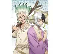 ZYHDK 1500 Pièces - Affiche - Gifts - Coloré Puzzle - Classic Japanese Animes Dr.Stone Ishigami Art Photos - Jouets Éducatifs pour Enfants - Jeu De Défi pour Adultes - Yz294Wk